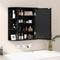Wall Mounted Mirror Storage Cabinet with Shelves for Bathroom
